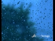 Rain on Window 1 497